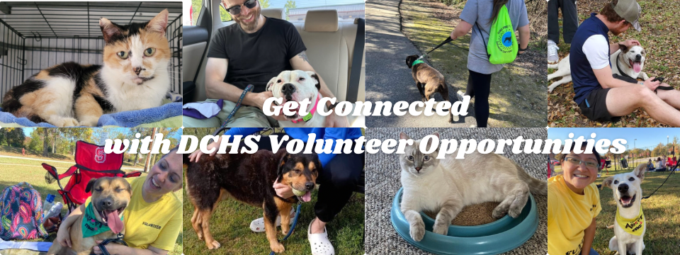 Darlington County Humane Society Mobile Site Banner