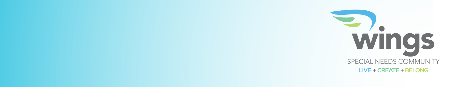 Wings Desktop Site Banner