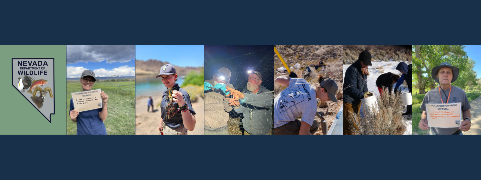 Nevada Department of Wildlife Mobile Site Banner