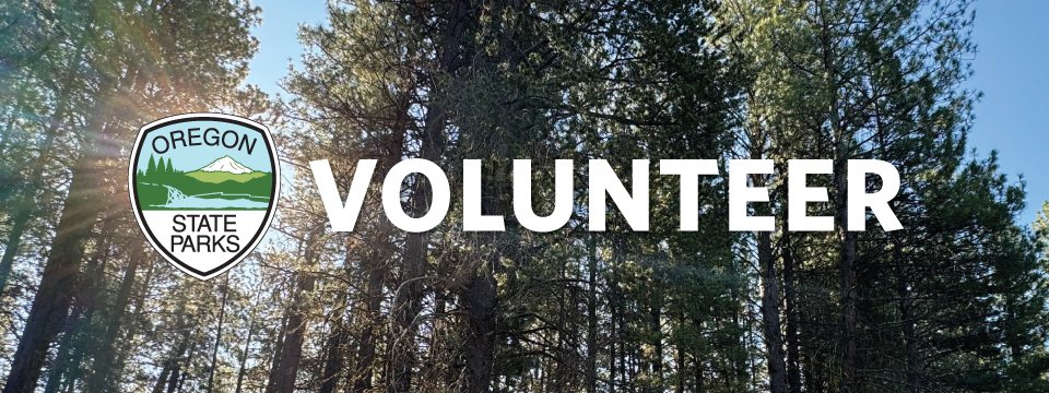 Forest tree background with the OPRD shield and the word volunteer