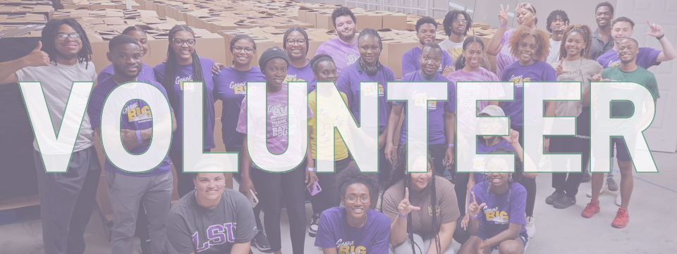 Catholic Charities of the Diocese of Baton Rouge Mobile Site Banner