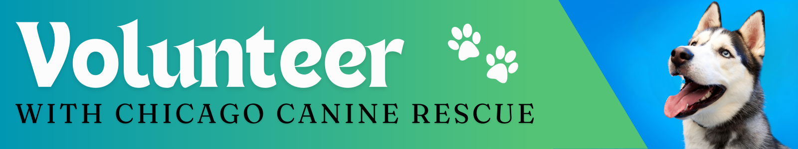 Chicago Canine Rescue Desktop Site Banner