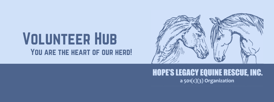 Volunteer Hub - You are the heart of our herd!