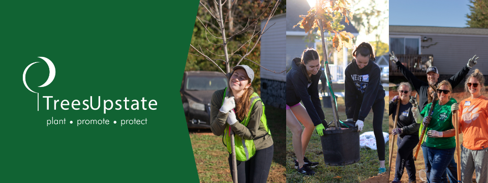 TreesUpstate Mobile Site Banner