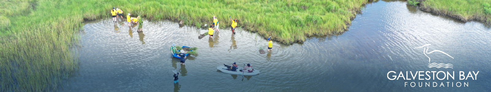 Galveston Bay Foundation Desktop Site Banner