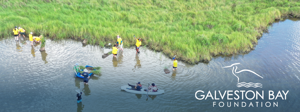 Galveston Bay Foundation Mobile Site Banner