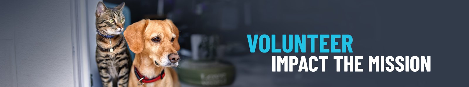 Halifax Humane Society Desktop Site Banner