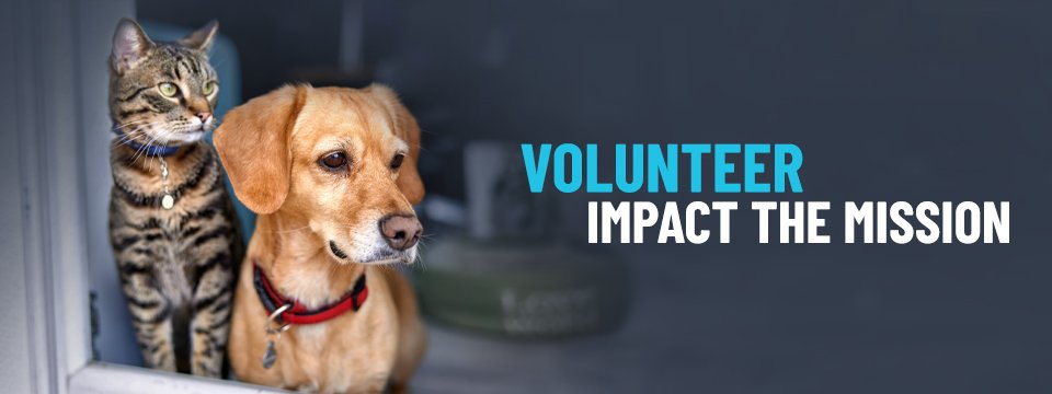 Halifax Humane Society Mobile Site Banner