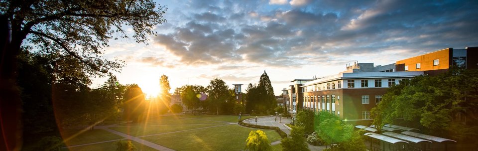 Oregon State University Mobile Site Banner
