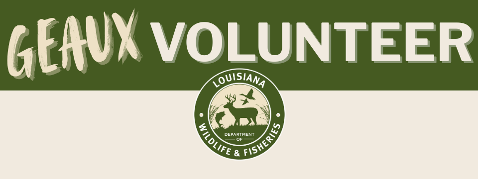 green background with cream text Geaux Volunteer with Louisiana Department of Wildlife and Fisheries