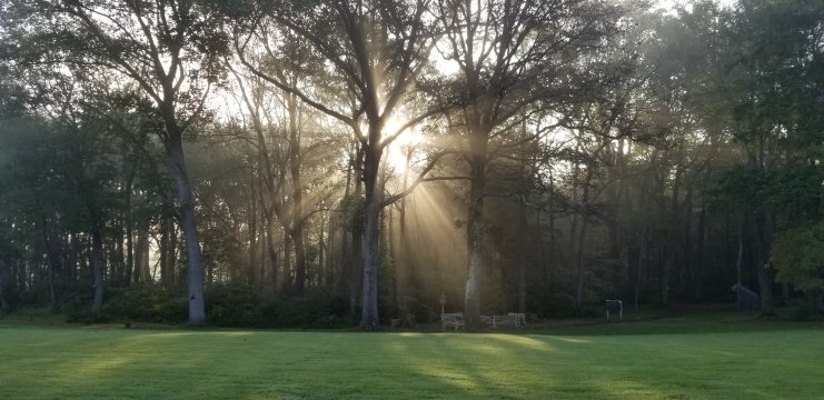 Willing Warriors Mobile Site Banner