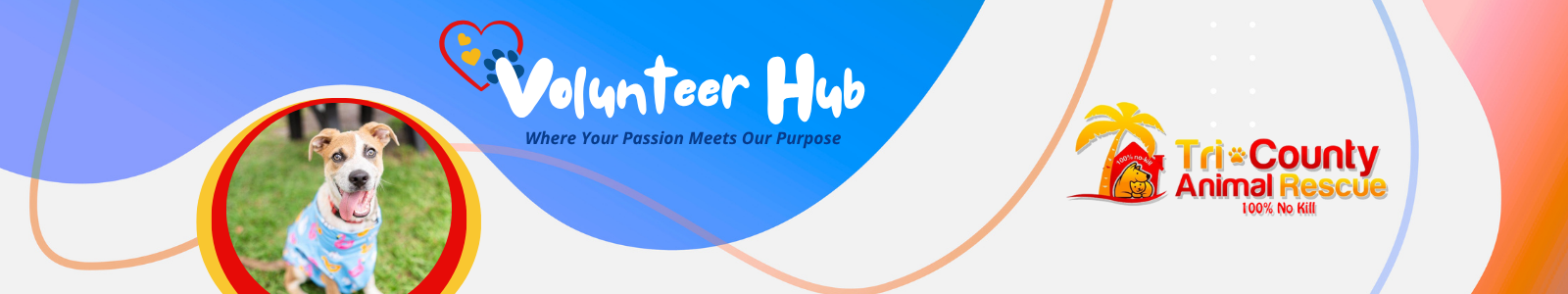 Header image featuring a photo of a dog and text Volunteer Hub, where your passion meets our purpose