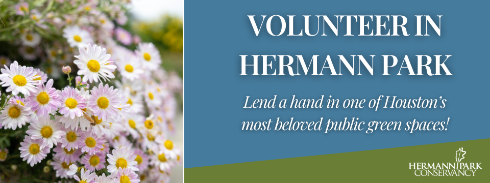 Hermann Park Conservancy Mobile Site Banner