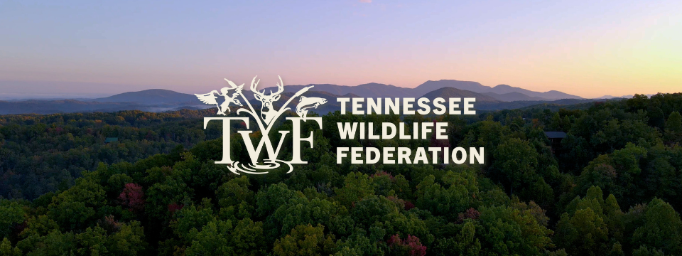 Tennessee Wildlife Federation