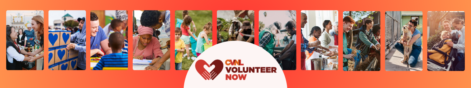 Center for Volunteer & Nonprofit Leadership Desktop Site Banner