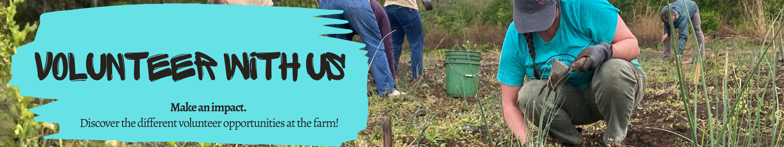 Soul Food Project Desktop Site Banner