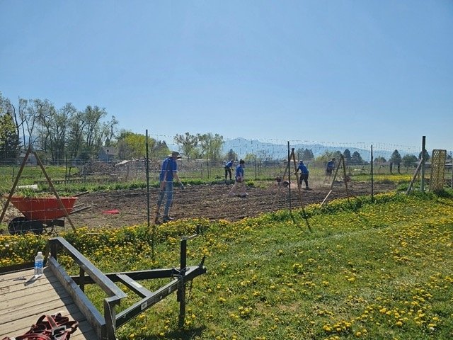 Photo 9
