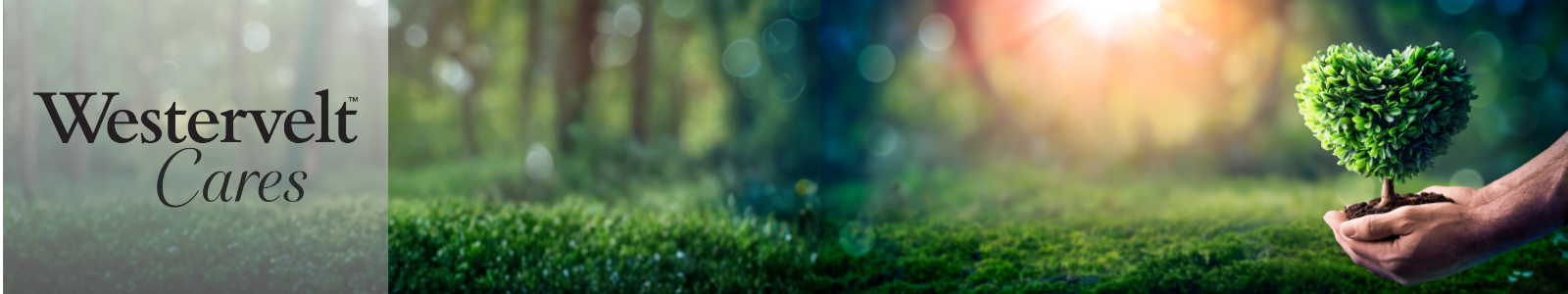 Westervelt Desktop Site Banner