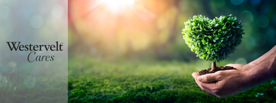 Westervelt Mobile Site Banner