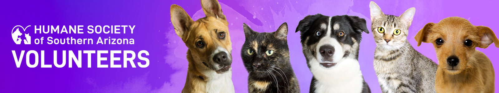Humane Society of Southern Arizona Desktop Site Banner