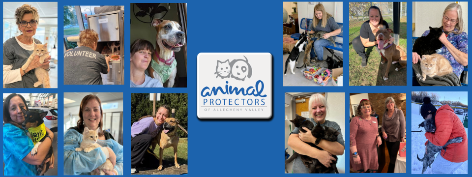 Animal Protectors of Allegheny Valley Mobile Site Banner