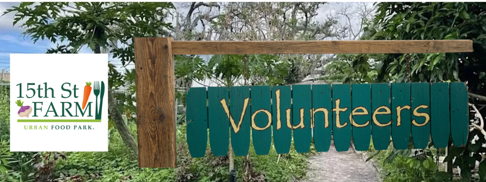 15th St Farm Mobile Site Banner