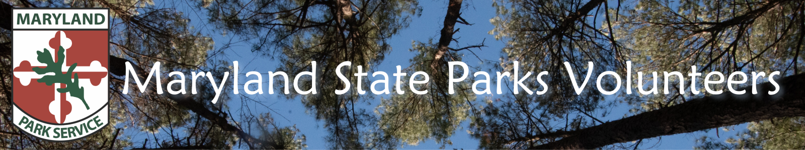 Pine tree canopy with the Maryland Park Service logo and the words Maryland State Parks Volunteers