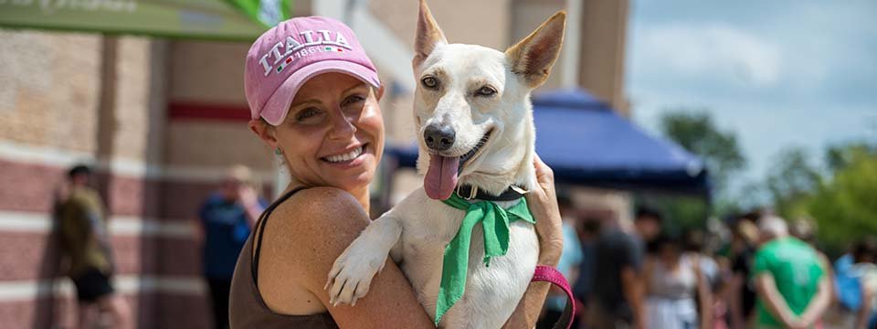 Lucky Dog Animal Rescue Mobile Site Banner