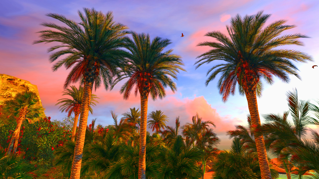 Best flight options to hawaii