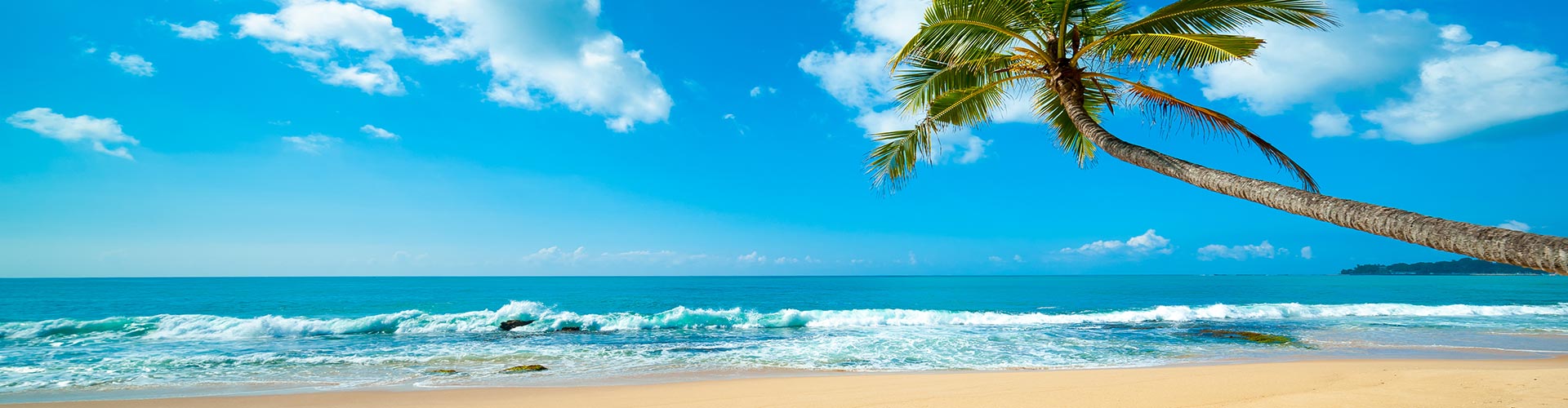 vacation travel agents fox world travel