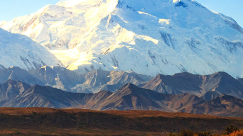 Alaska Travel Tips with Fox Alaska Experts