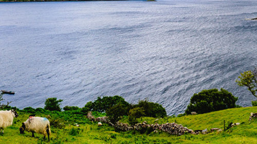 Best Seasons of Ireland