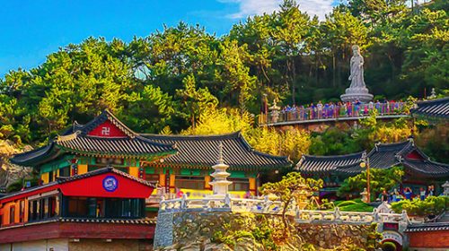Surround Yourself with Nature in South Korea