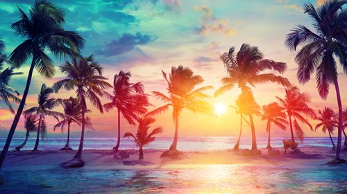 There’s Something About a Beach