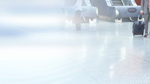 Train Your Travelers For Smart & Safe Travel – Recording