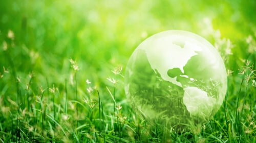 Sustainability in Travel