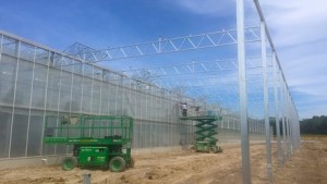 Great Lakes Growers Expands Its Production Capacity For “Living” Lettuces And Herbs