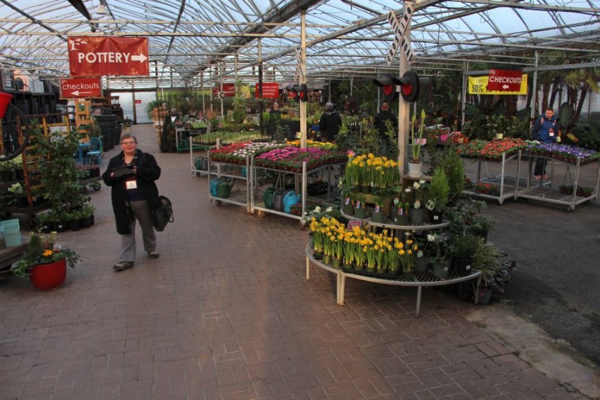 Greenhouse department at Cedar Rim