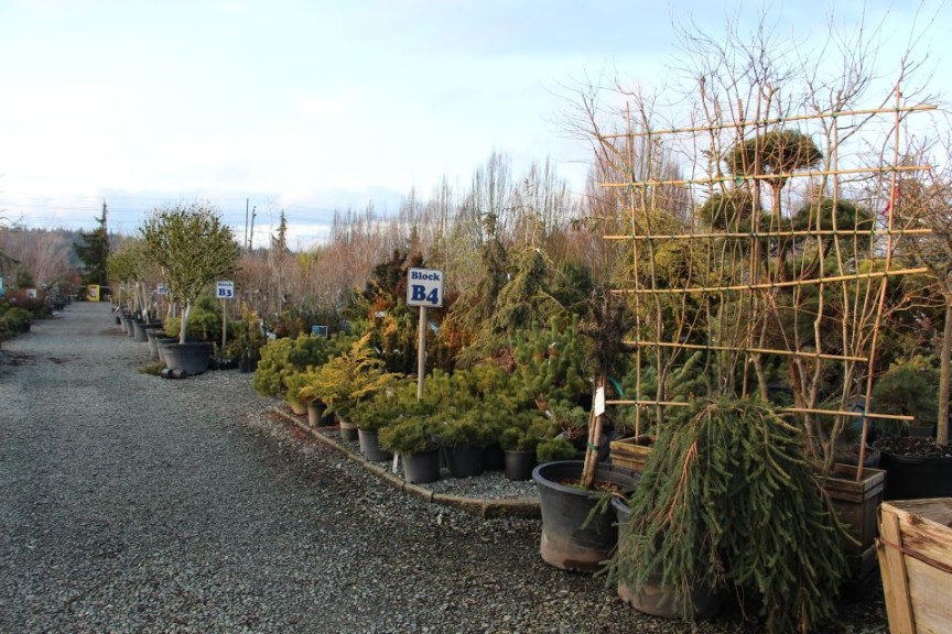 Nursery department at Cedar Rim
