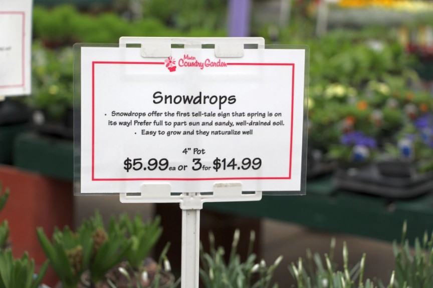 Plant sign at Minter Country Garden
