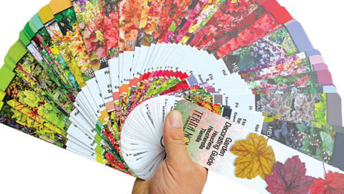 Promote The Purpose Of Perennials