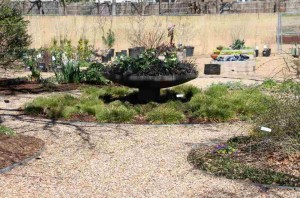 A More Formal Demo Garden