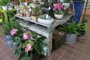 Pallet Bench In The Indoor Shop