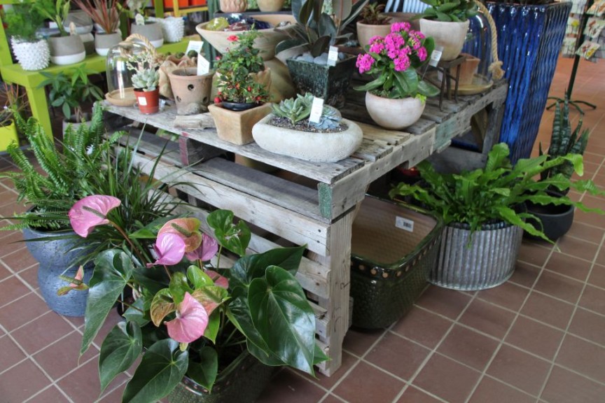 Pallet Bench In The Indoor Shop