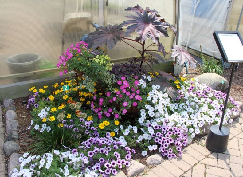 3. Bike Garden