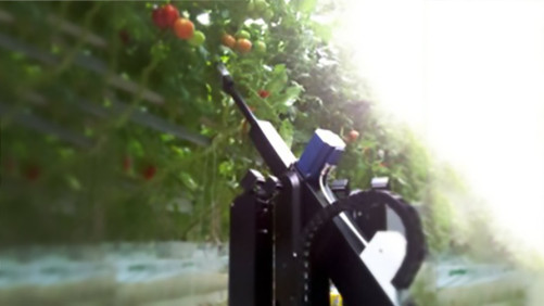 Priva’s Tomato Deleafing Robot Nabs Innovation Award At GreenTech
