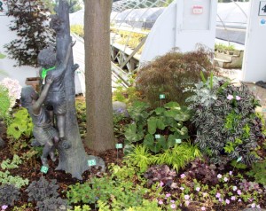 7. The Shade Garden