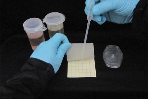 Figure 3a.