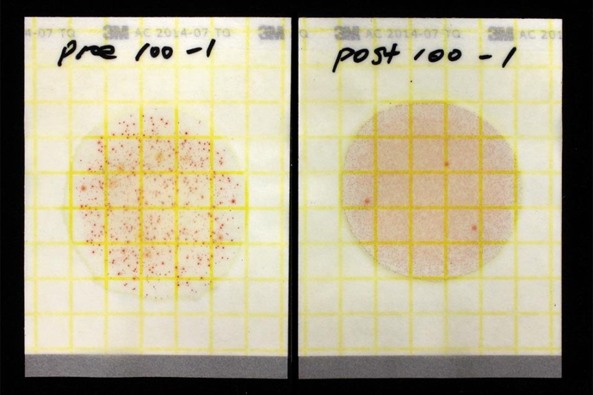 Figure 3b.