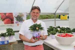 Adri Gillessen of ABZ Seeds